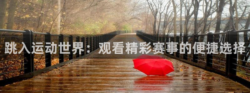 跳入运动世界：观看精彩赛事的便捷选择