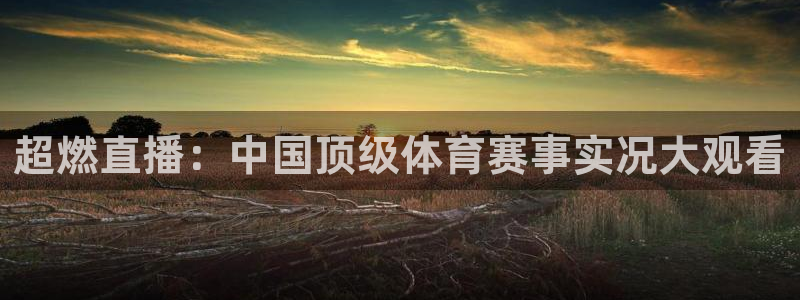 超燃直播：中国顶级体育赛事实况大观看