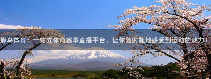 蜂鸟体育：一站式体育赛事直播平台，让你随时随地感受到运动的魅力！